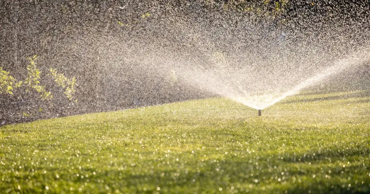 Zdjęcie Zraszacz wahadłowy jaki wybrać – uniknij najczęstszych błędów przy wyborze