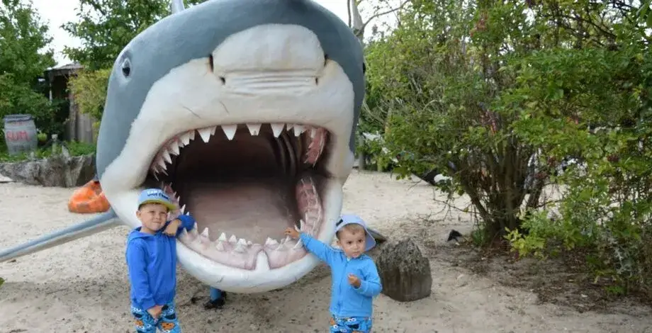 Zdjęcie Najlepsze atrakcje w Dziwnówku, które zaskoczą całą rodzinę