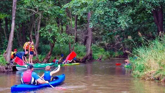Zdjęcie Spływy kajakowe Wieprz: odkryj trasy, ceny i najlepsze porady