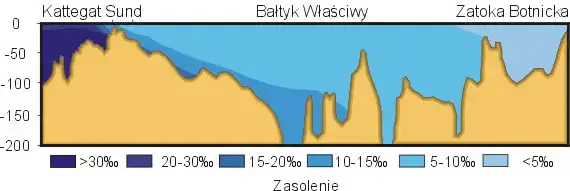 Zdjęcie Jakie jest zasolenie Bałtyku? Zaskakujące r&oacute;żnice i fakty