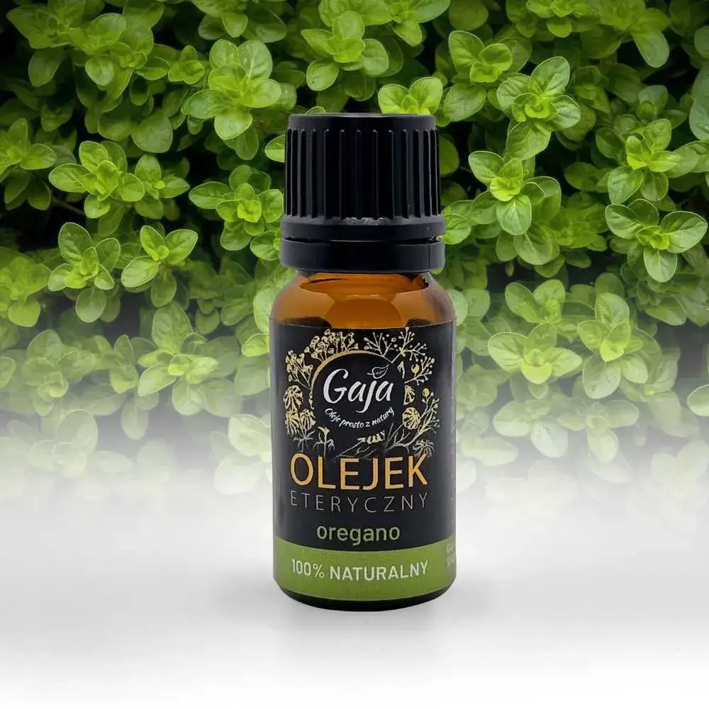 Zdjęcie Olejek z oregano na co? Odkryj jego niesamowite właściwości zdrowotne
