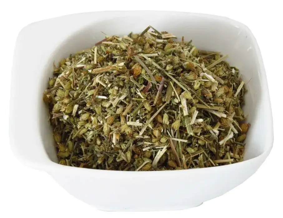 Zdjęcie Krwawnik pospolity: chwast, który może być Twoim sprzymierzeńcem w zdrowiu