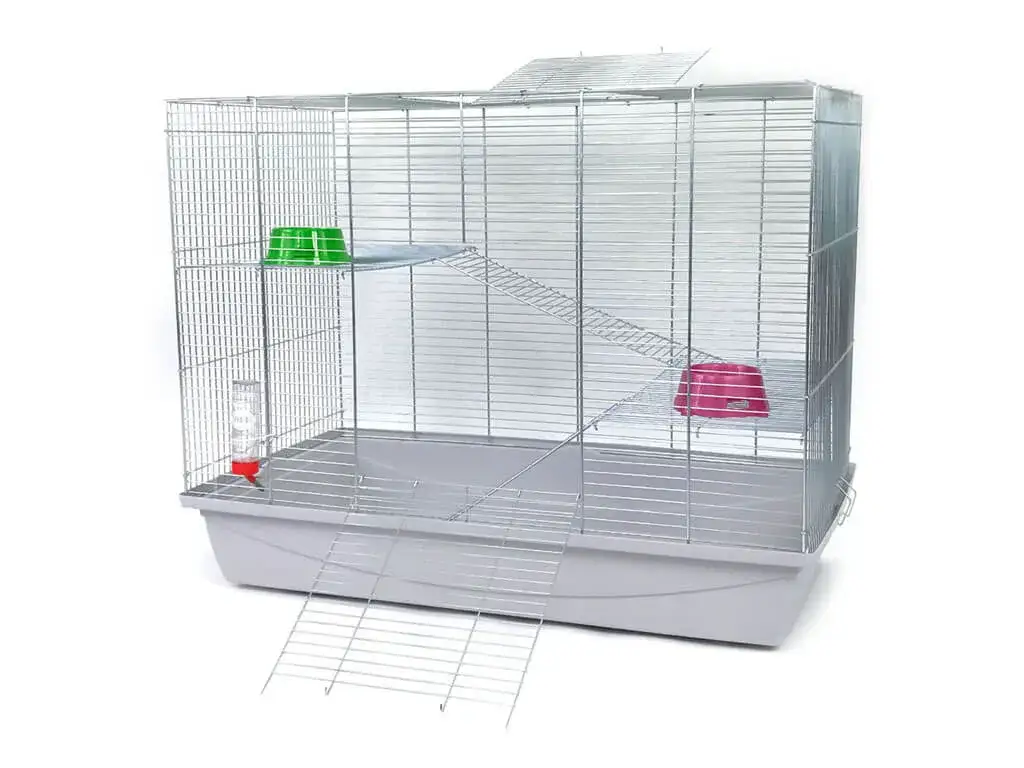 Zdjęcie Idealna klatka dla fretki: Jak zapewnić jej komfortowe życie