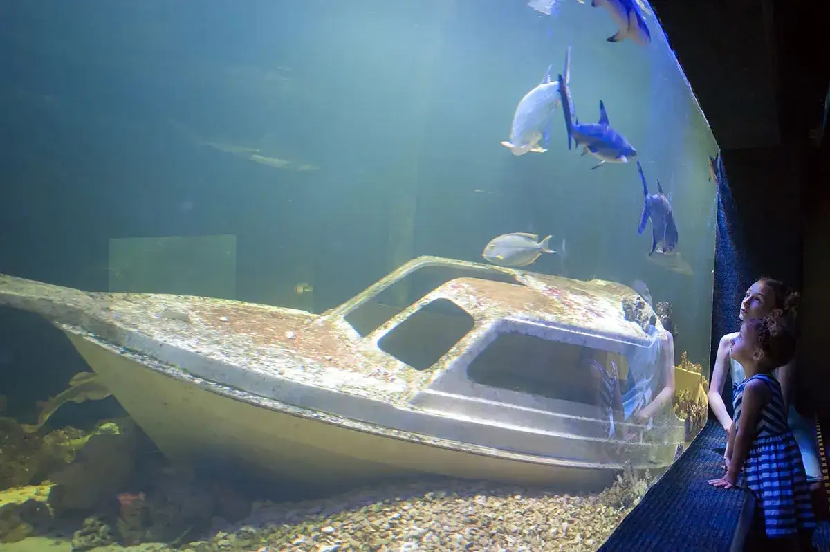 Zdjęcie Oceanarium Zagnańsk - poznaj wyjątkowe atrakcje i godziny otwarcia