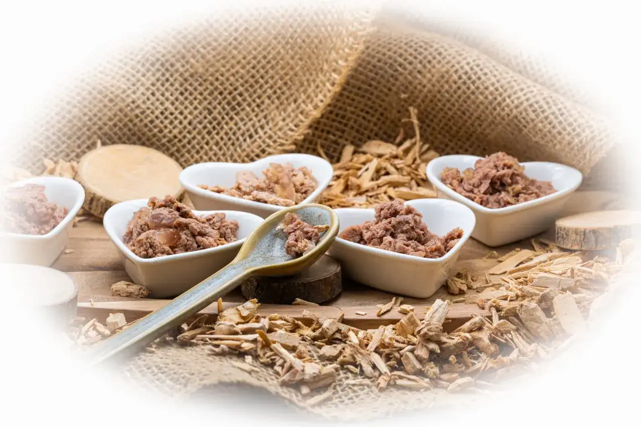 Zdjęcie Wieprzowina dla kota - korzyści, bezpieczeństwo i najlepsze produkty