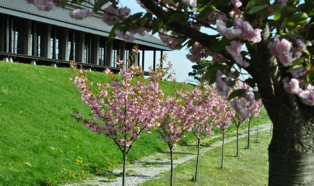 Zdjęcie Najlepsze atrakcje w Radomsku na weekend, które musisz zobaczyć
