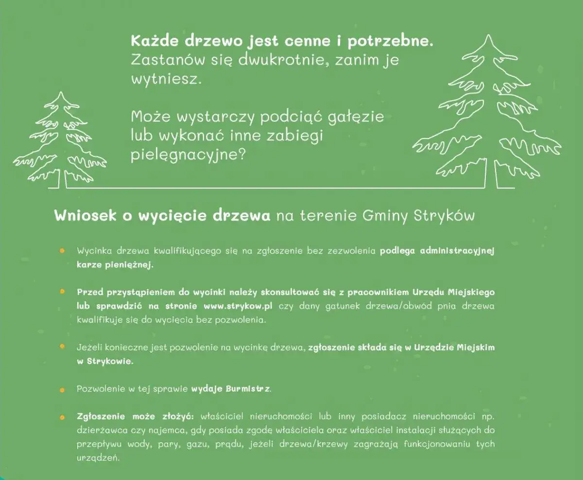Zdjęcie Kiedy nie trzeba zezwolenia na wycinkę drzew? Sprawdź ważne zasady