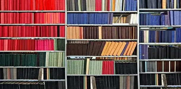 Zdjęcie Journal of Clinical: Gu&iacute;a para diferenciar revistas y publicar con &eacute;xito