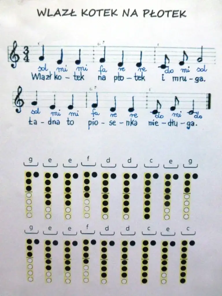 Zdjęcie Jak zagrać na flecie wlazł kotek na płotek - proste nuty dla każdego