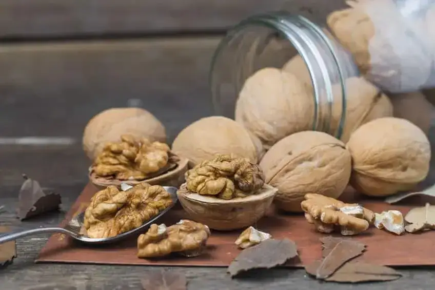 Zdjęcie Orzechy włoskie czy zdrowe? Odkryj ich nieoczekiwane korzyści zdrowotne