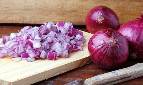 Zdjęcie Cebula a zdrowie psa: dlaczego nie powinieneś jej podawać