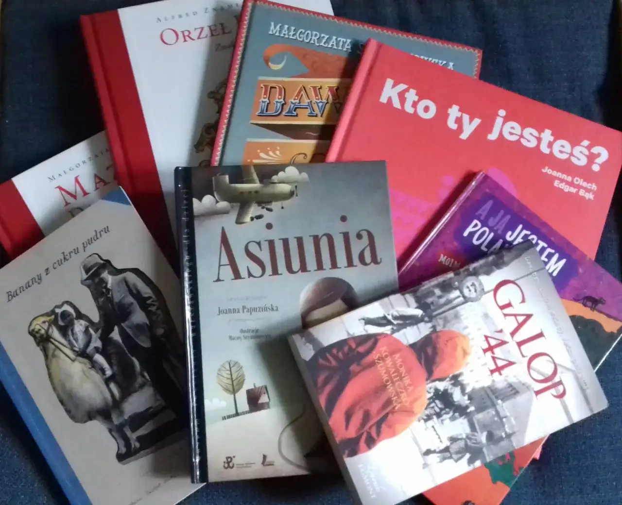 Zdjęcie Znaczenie literatury patriotycznej: wartości i wpływ na tożsamość narodu