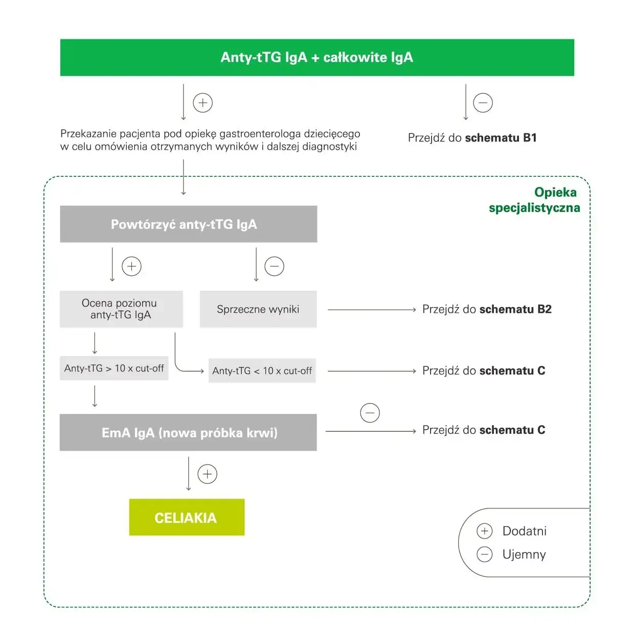 Zdjęcie IgA i IgG: Co mówią o Twoim zdrowiu? Interpretacja wyników