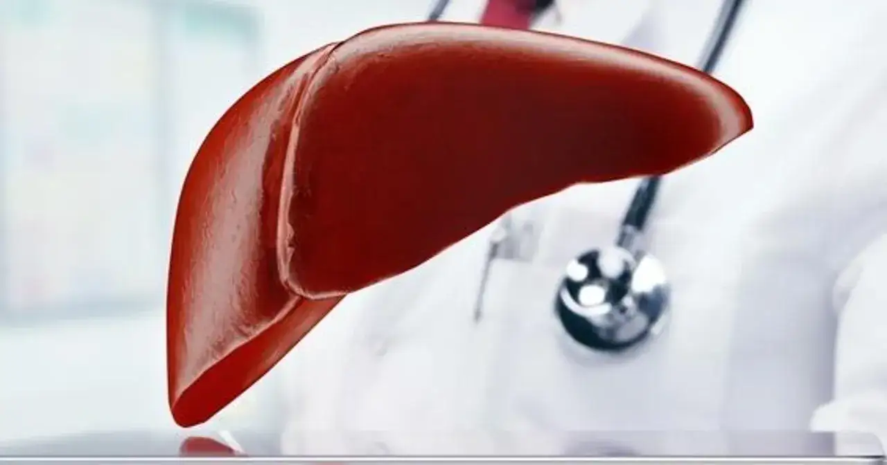 Zdjęcie Jakie badania wątrobowe warto wykonać, aby uniknąć poważnych problemów?