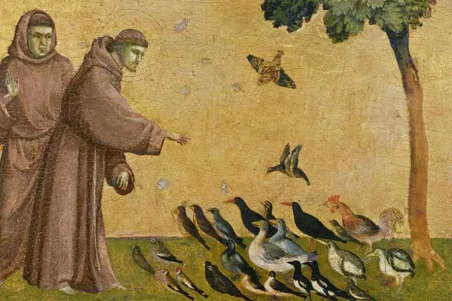 Zdjęcie Kto jest patronem zwierząt? Poznaj znaczenie św. Franciszka