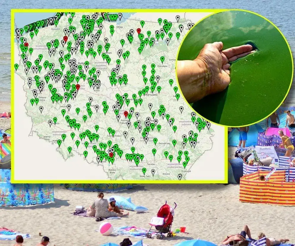 Zdjęcie Gdzie są zamknięte plaże nad Bałtykiem i dlaczego warto to wiedzieć