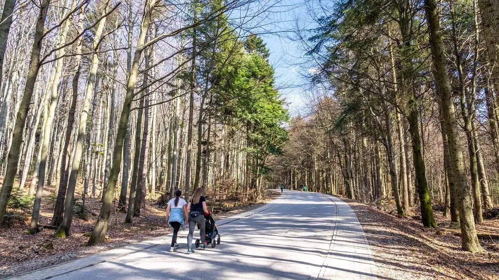 Zdjęcie Jak dojechać na Łysą Górę w Świętokrzyskim - najlepsze opcje transportu