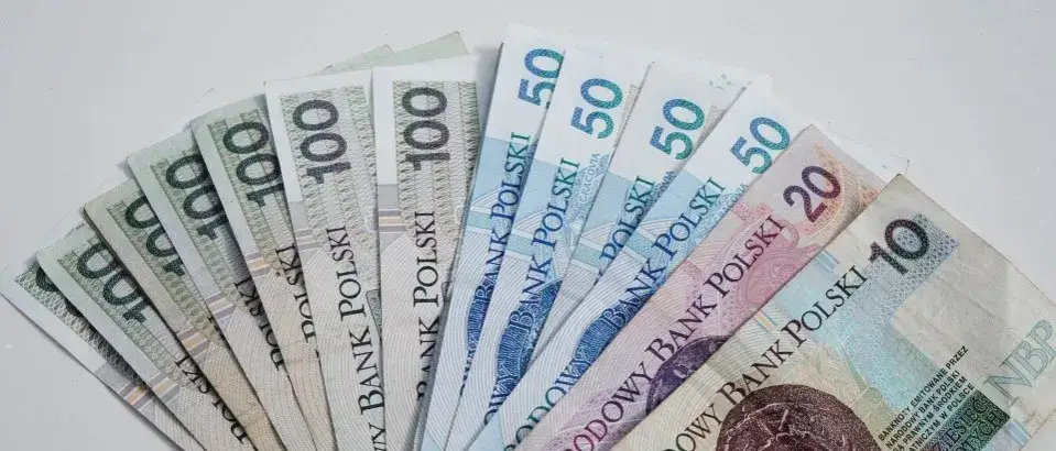 Zdjęcie Ile można dostać w bocian pożyczki? Sprawdź maksymalne kwoty i opcje