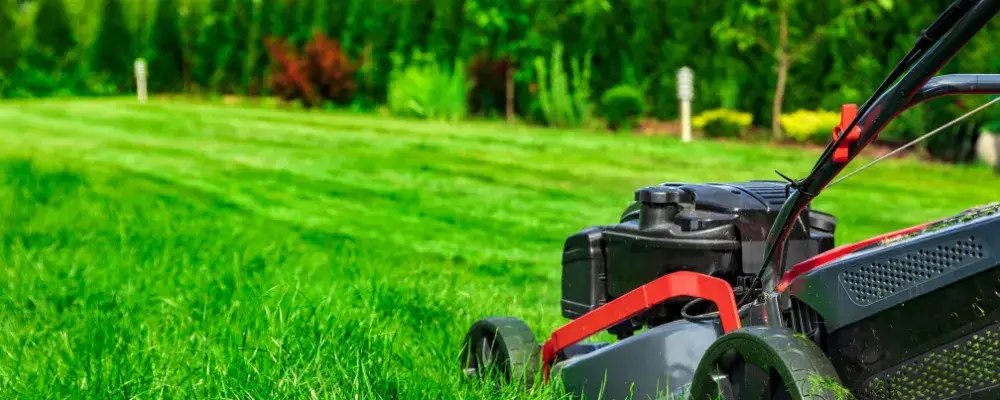 Zdjęcie Zadbany trawnik z elektryczną kosiarką: Jak wybrać najlepszą?