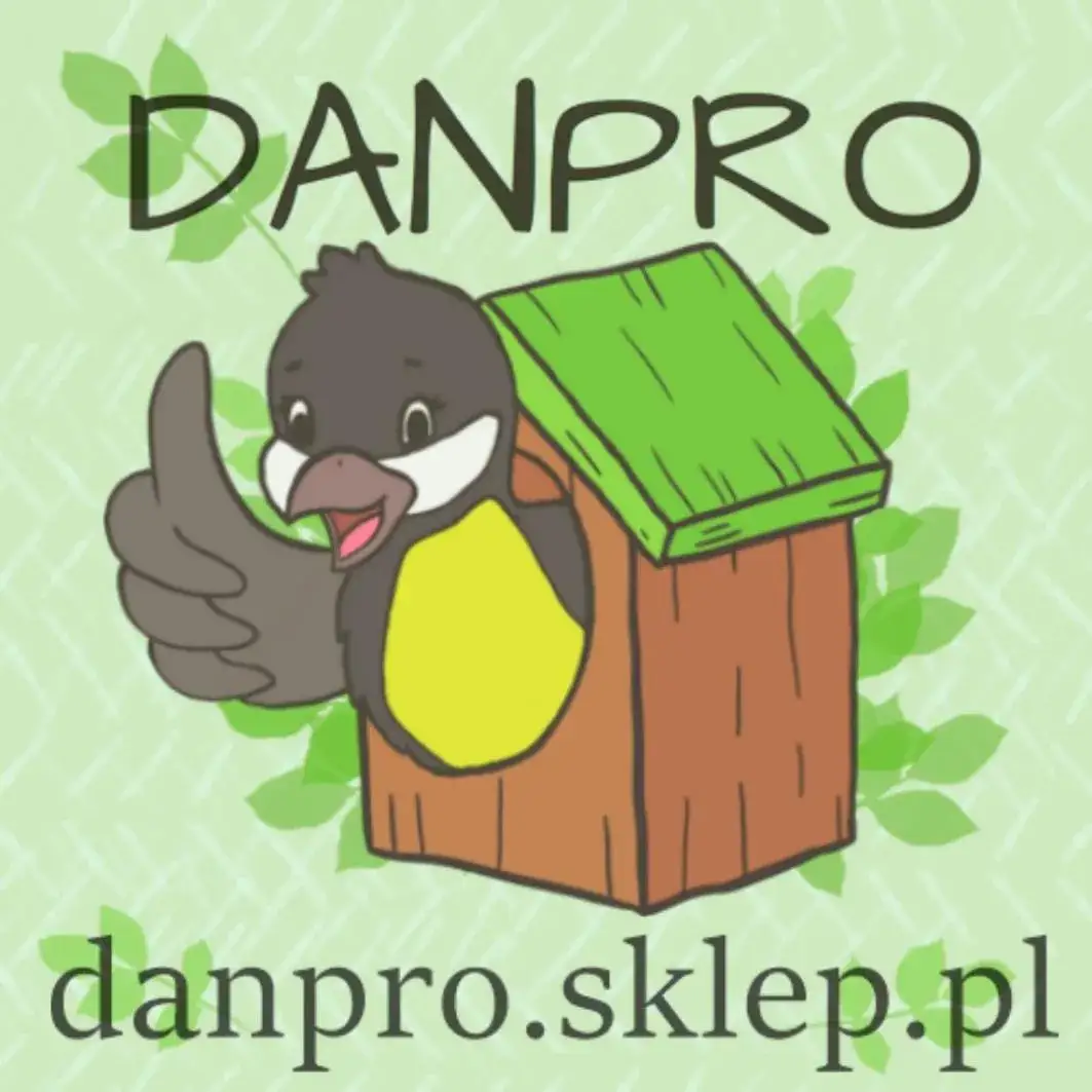 Zdjęcie Jak łatwo zbudować domek dla ptaków DIY i cieszyć się naturą