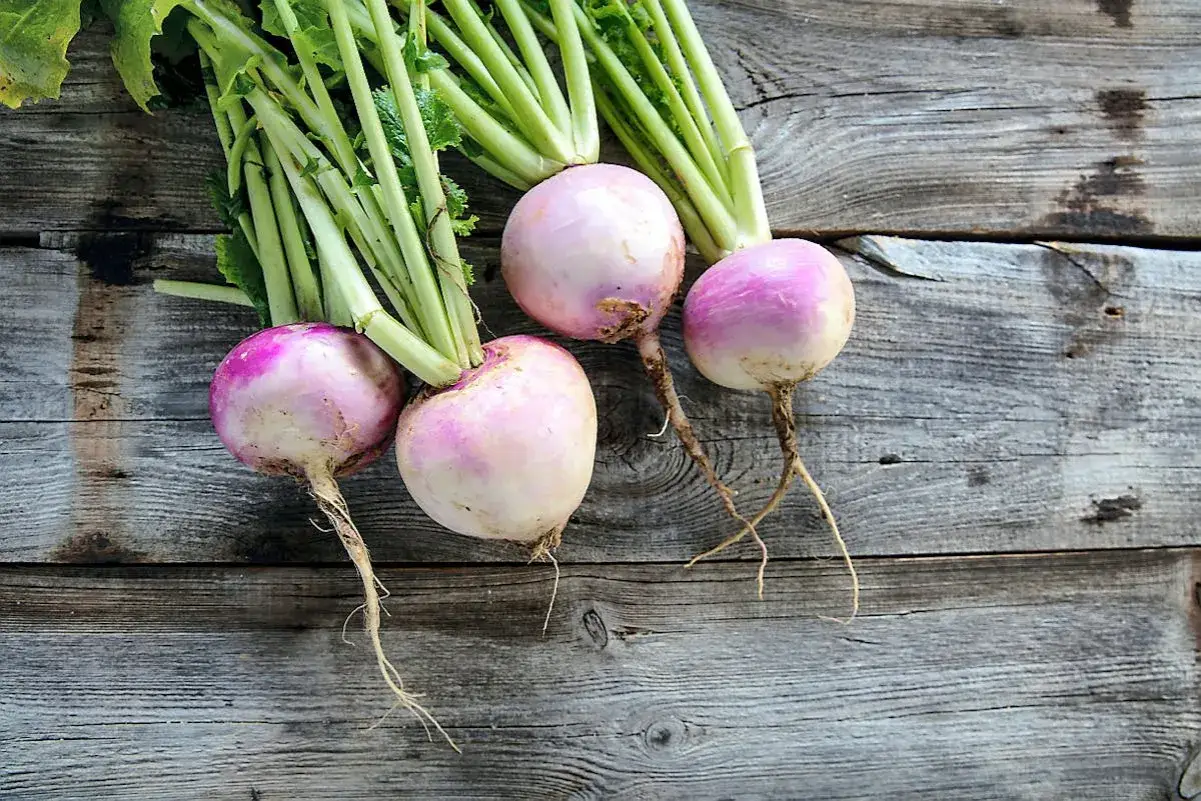 Zdjęcie Faut-il éplucher les navets ? Les raisons de garder la peau