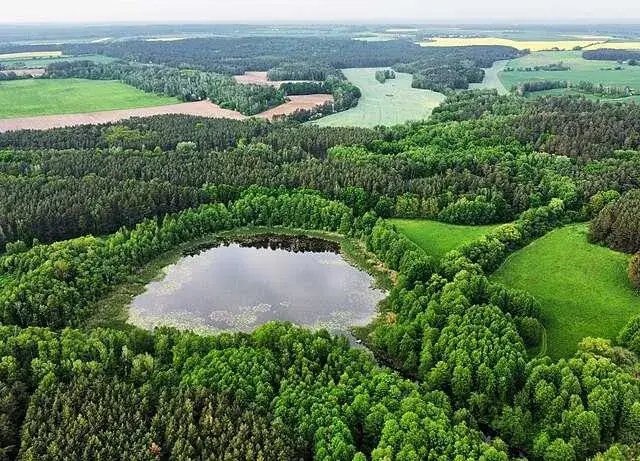 Zdjęcie Jezioro Woj w Lubuskiem: atrakcje, noclegi i najlepsze miejsca na wypoczynek