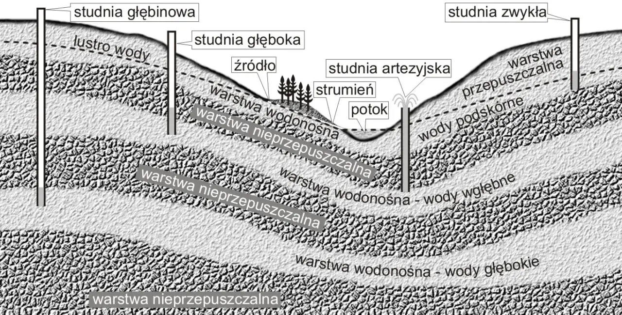 Zdjęcie Jak żyła wodna wpływa na środowisko i geologię w Twojej okolicy