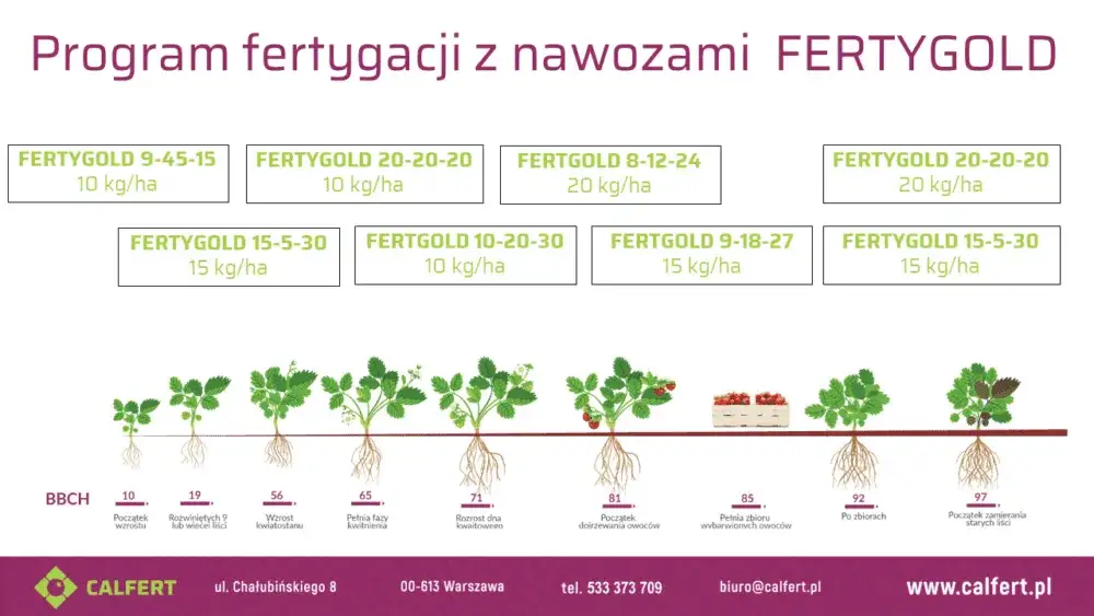 Zdjęcie Jakie nawozy do fertygacji wybrać, aby uniknąć błędów w uprawie?