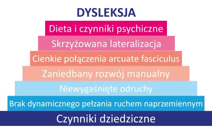 Zdjęcie Dysleksja rozwojowa: objawy, diagnoza, wsparcie i prawa dziecka