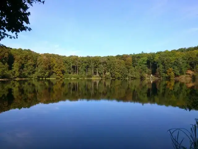 Zdjęcie Rezerwaty przyrody w Wielkopolsce: gdzie warto się wybrać i co zobaczyć?
