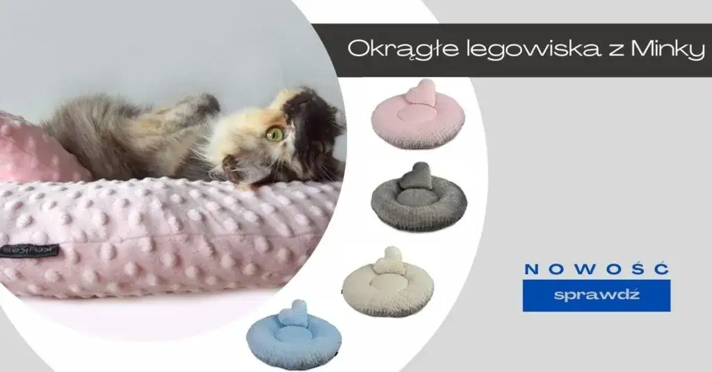 Zdjęcie Jak uszyć posłanie dla kota i zapewnić mu komfortowy sen