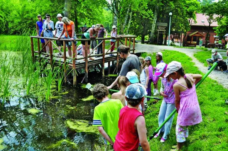 Zdjęcie Najlepsze miejsca w Toruniu dla dzieci – gdzie spędzić czas z rodziną