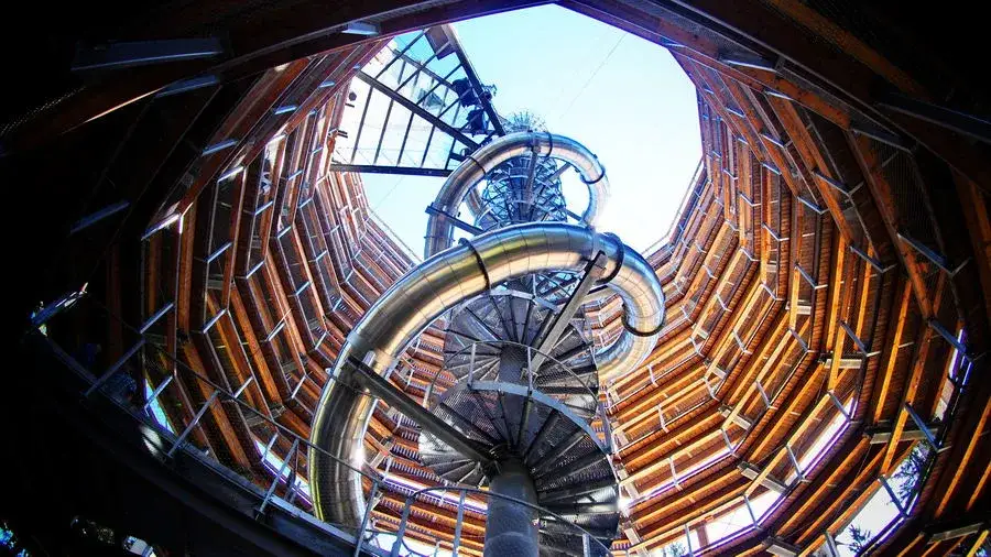 Zdjęcie Spacer w koronach drzew Dolny Śląsk - niezapomniane wrażenia w naturze