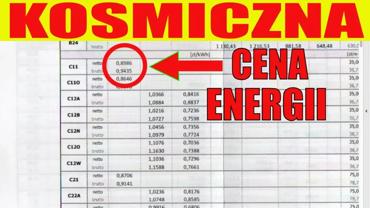 Zdjęcie Ile kosztuje 1 kWh w taryfie C11? Sprawdź różnice w cenach energii
