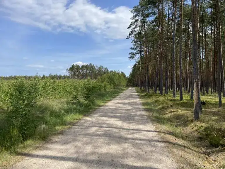 Zdjęcie Wdzydze Tucholskie atrakcje, które zachwycą miłośników natury