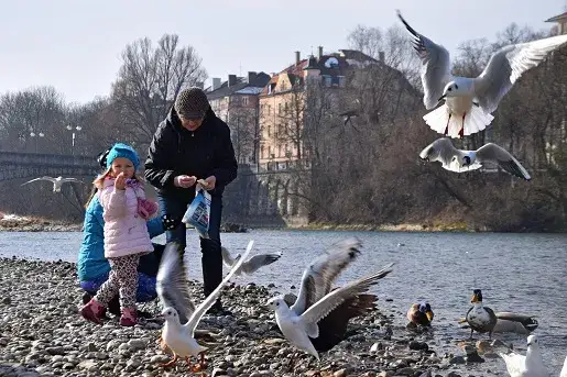 Zdjęcie Jakie atrakcje Monachium zachwycą twoje dzieci? Przewodnik rodzin