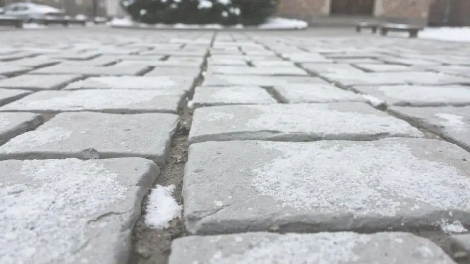 Zdjęcie Skuteczne sposoby na usunięcie białego nalotu na kostce brukowej