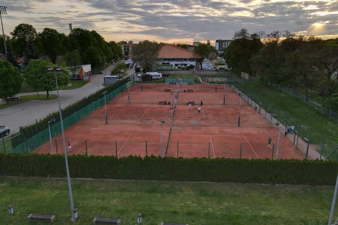 Zdjęcie Ile kosztuje lekcja tenisa? Ceny, które mogą Cię zaskoczyć