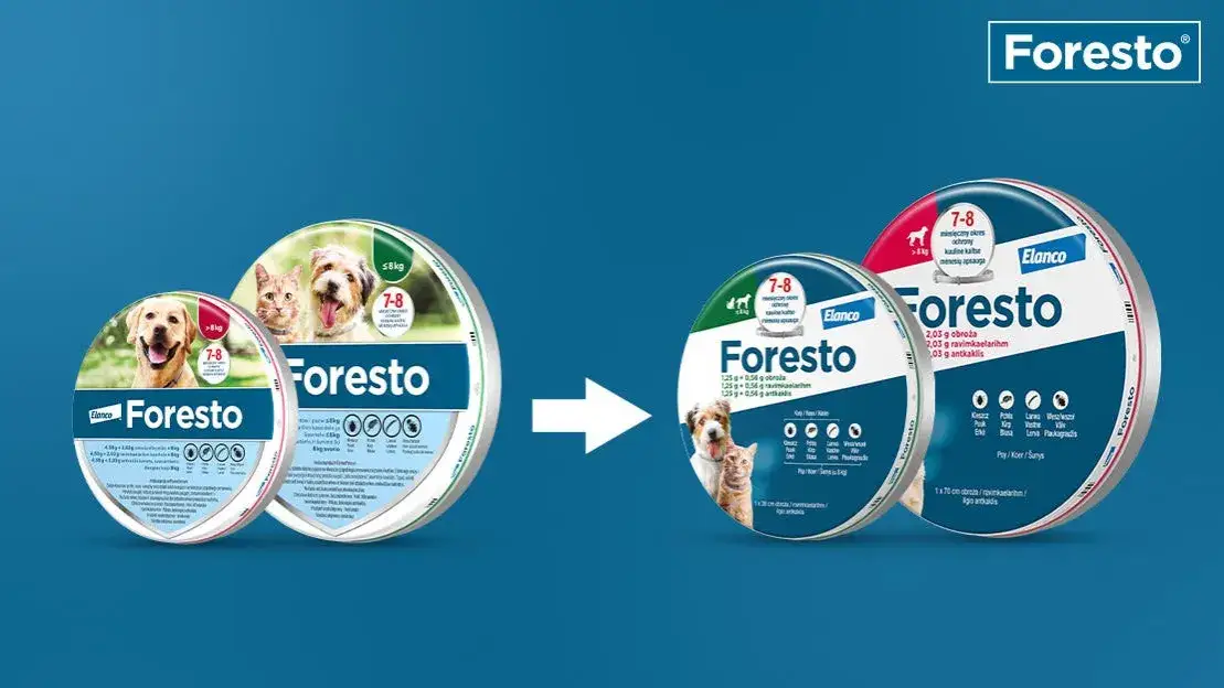 Zdjęcie Obroża Foresto - czy jest szkodliwa dla psa i ludzi? Sprawdź ryzyko