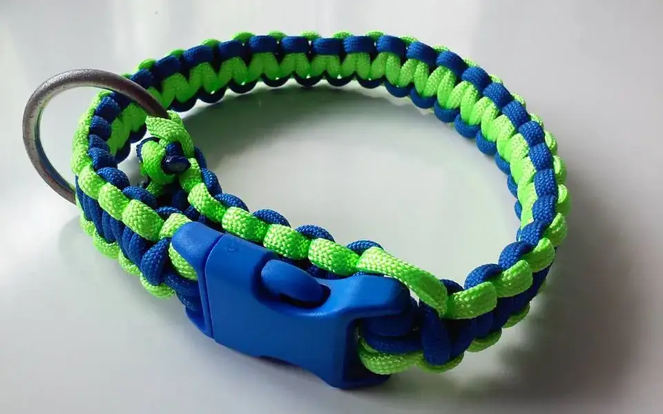 Zdjęcie Jak zrobić plecioną obrożę dla psa - krok po kroku z materiałami