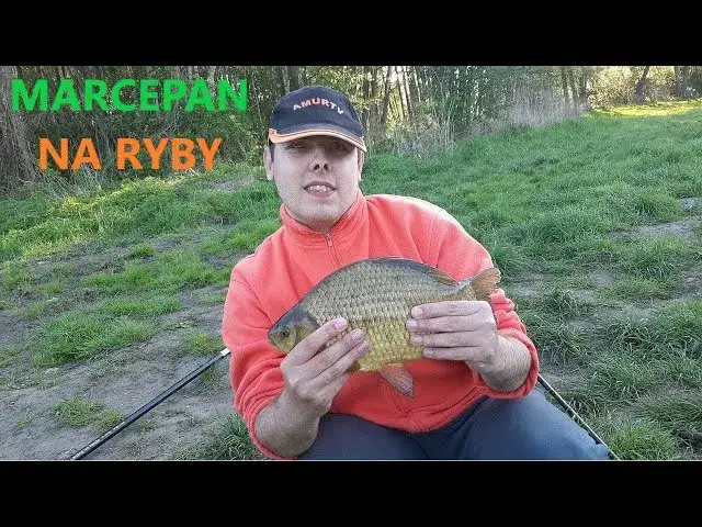 Zdjęcie Zanęta marcepan: skuteczna metoda na złowienie większych ryb