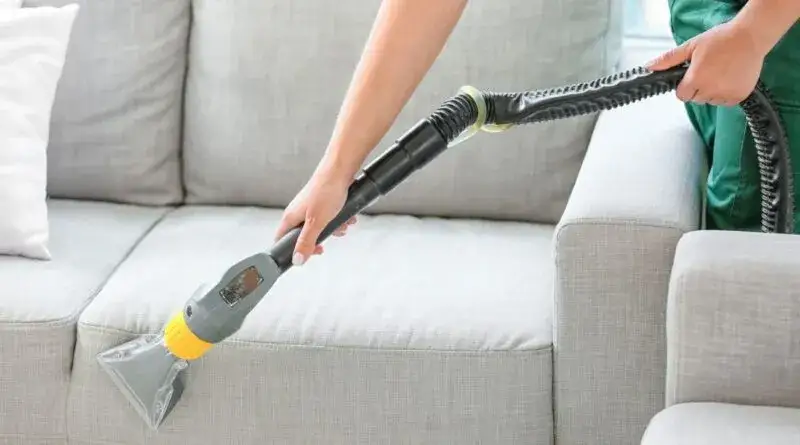 Zdjęcie Skuteczne sposoby na usunięcie zapachu moczu kota z kanapy