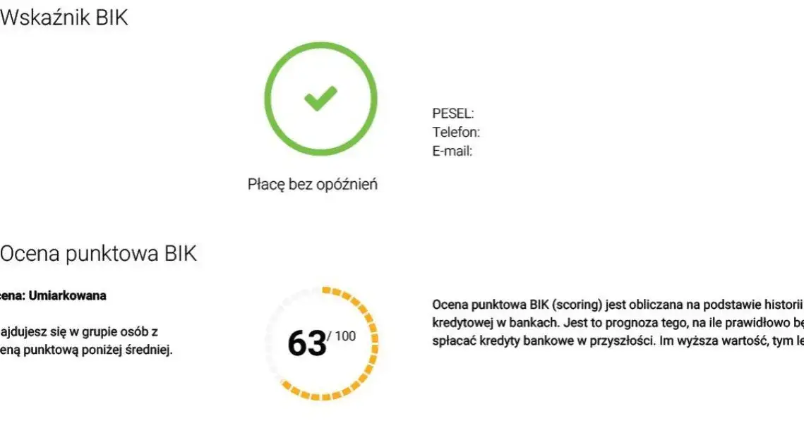 Zdjęcie Co oznacza skrót BIK i jak wpływa na Twoją historię kredytową