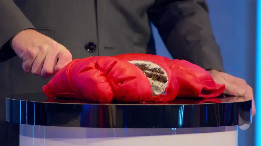 Zdjęcie Czy to ciasto Netflix - odkryj sekrety programu i jego odcinki