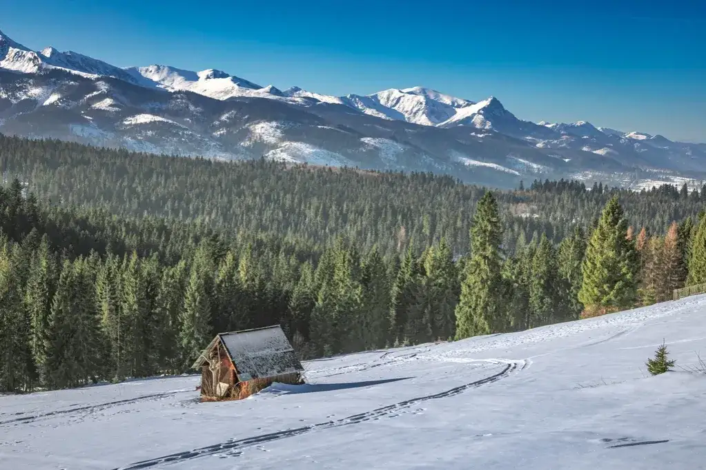 Zdjęcie Ile kosztuje nocleg w Zakopanem? Ceny, które zaskoczą każdego