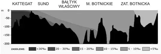 Zdjęcie Dlaczego Bałtyk jest słabo zasolony? Odkryj zaskakujące przyczyny