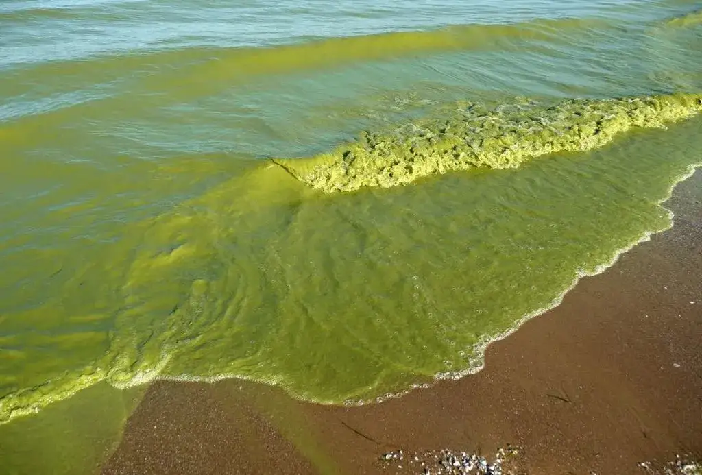 Zdjęcie Jezioro Erie: tajemnice, zagrożenia ekologiczne i atrakcje turystyczne