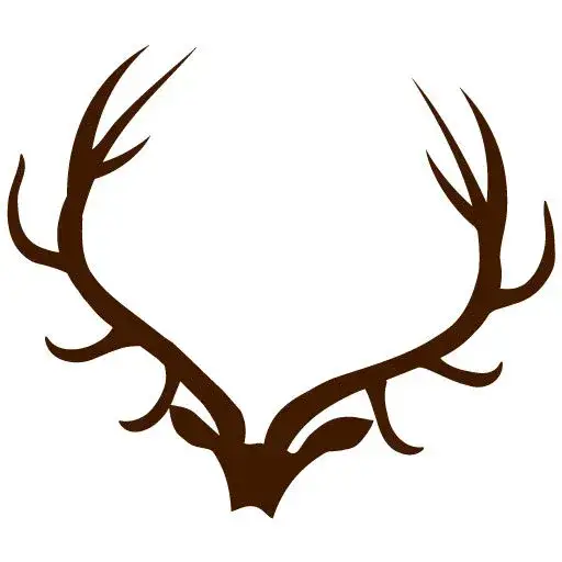 Zdjęcie Gdzie można kupić dziczyznę? Sprawdź najlepsze źródła w Polsce