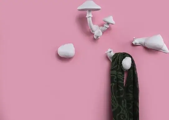 Zdjęcie Stojaki grzyb i stojak do przechowywania fungi