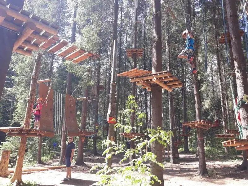 Zdjęcie Najlepsze parki linowe w Podlasiu - atrakcje dla całej rodziny